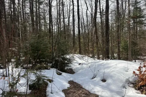 360 Dorman Road Andover VT 05143