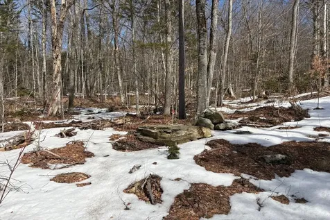 360 Dorman Road Andover VT 05143
