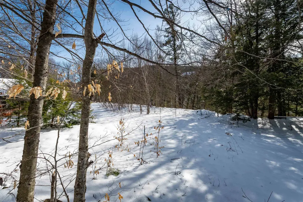 4 Street Martins Drive Jackson NH 03846