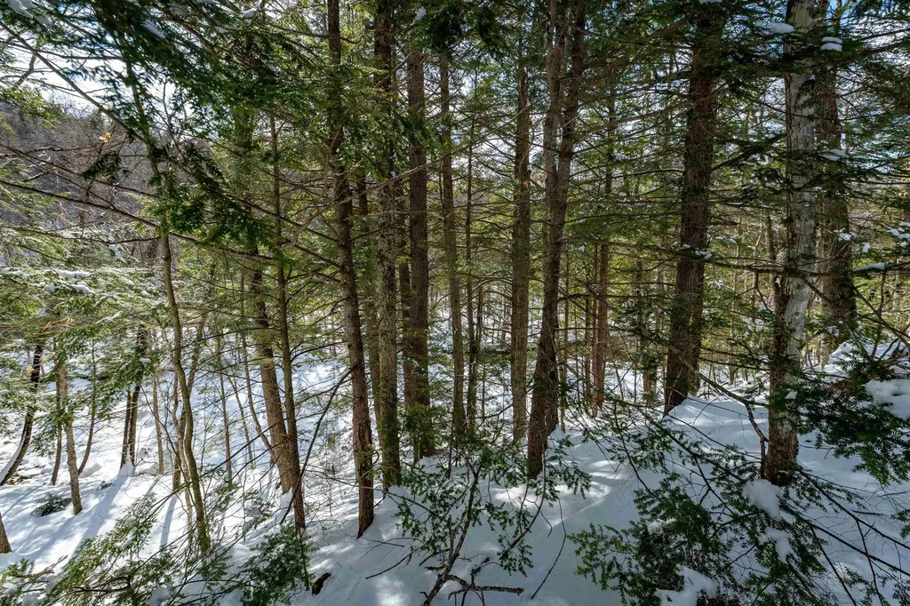 4 Street Martins Drive Jackson NH 03846