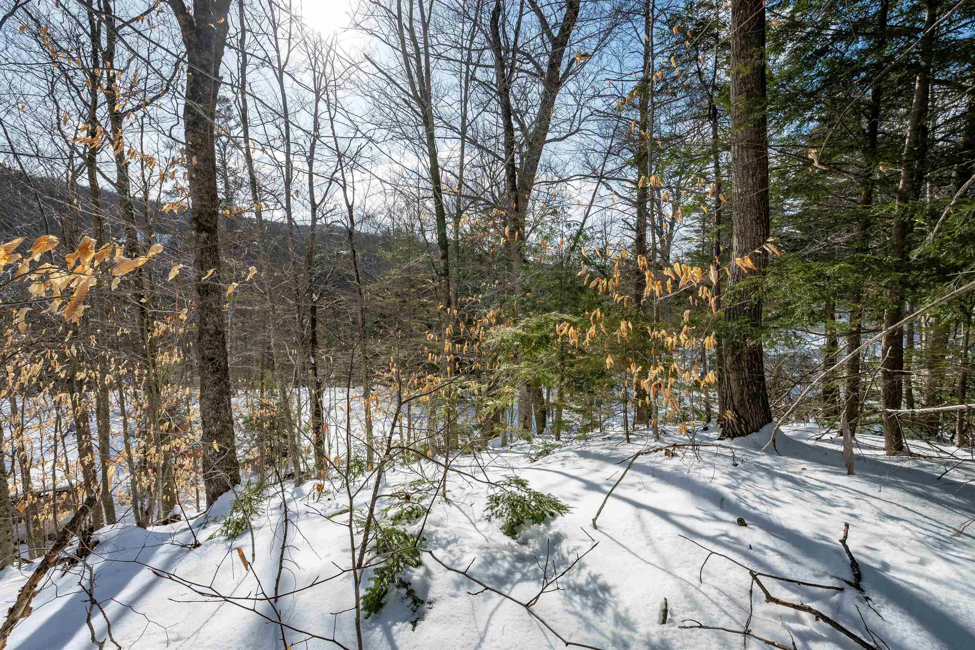 4 Street Martins Drive Jackson NH 03846