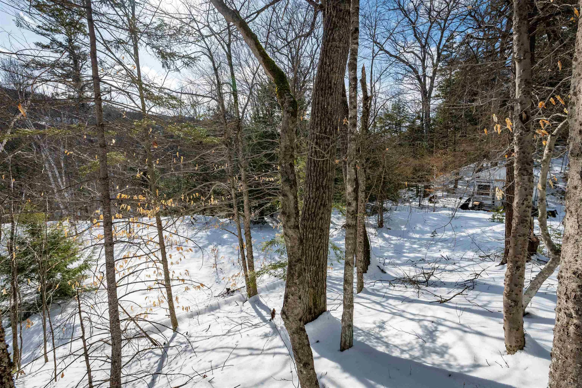 4 Street Martins Drive Jackson NH 03846
