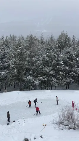 39 Wallis View Lane Ludlow VT 05149