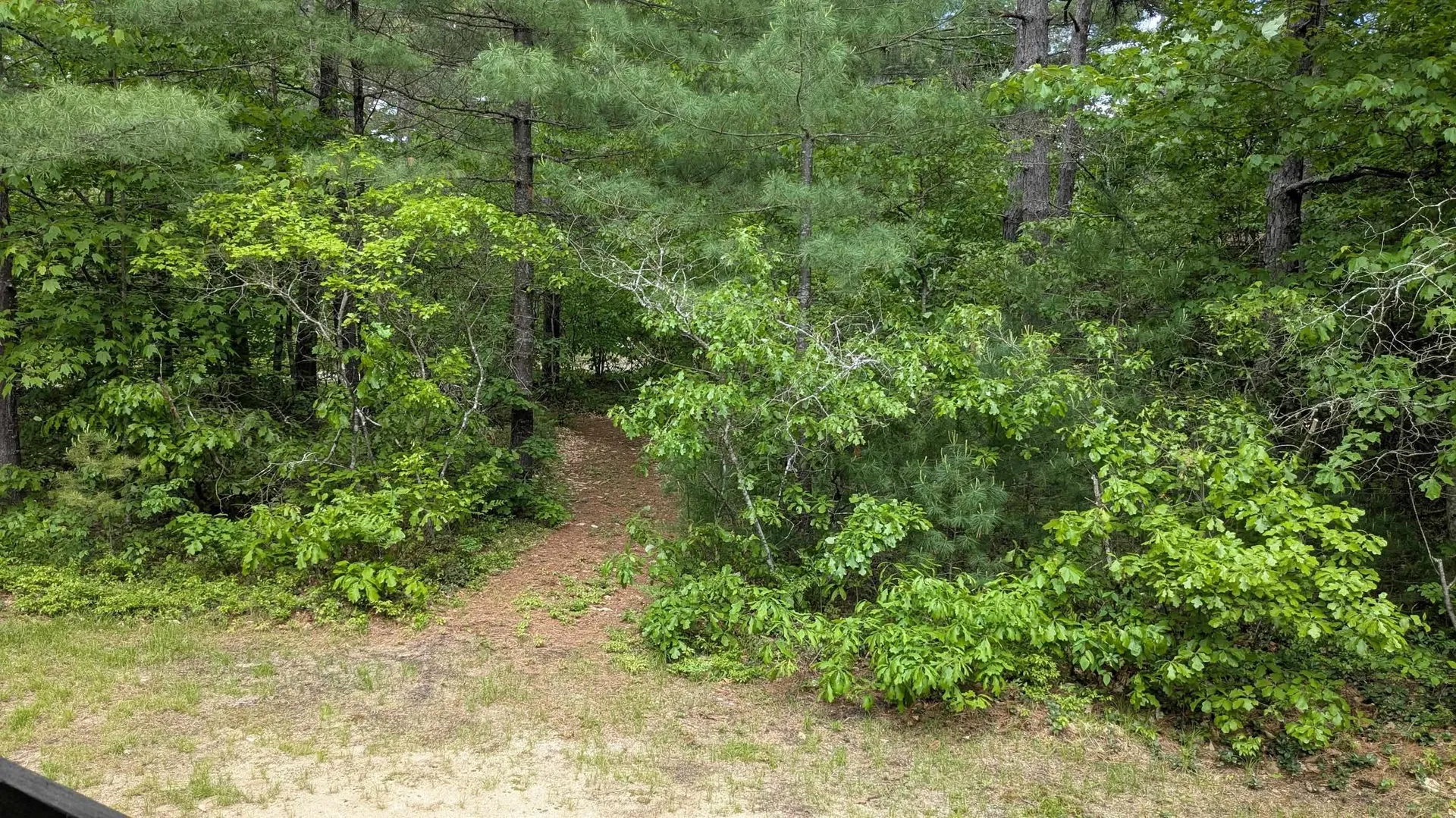 31 Mcgrew Drive Tamworth NH 03886
