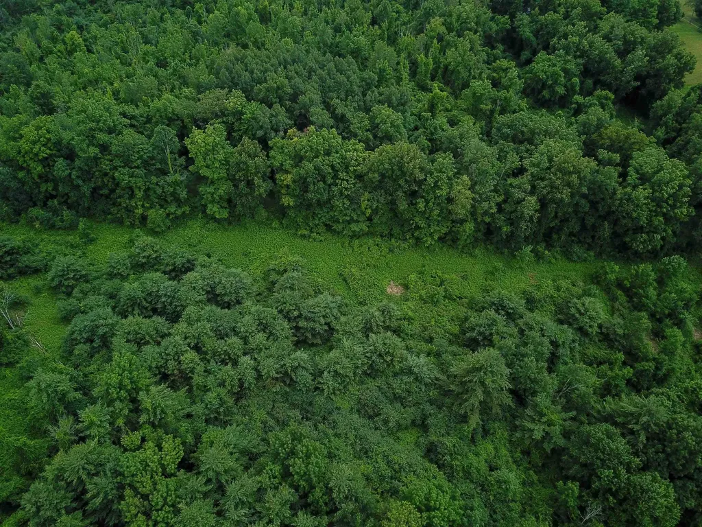 399 Bard Road Bennington VT 05201