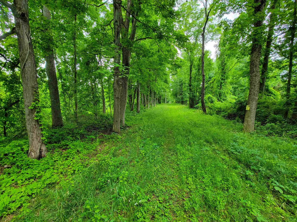 399 Bard Road Bennington VT 05201