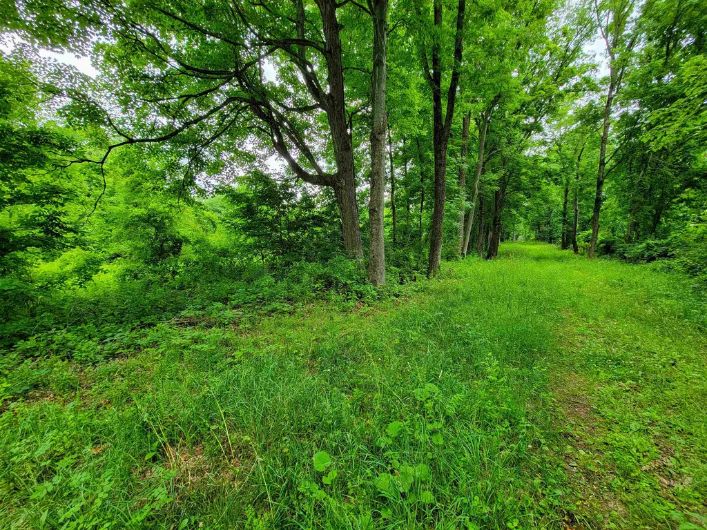 399 Bard Road Bennington VT 05201