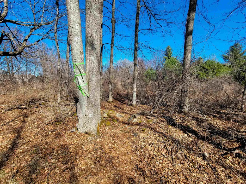 399 Bard Road Bennington VT 05201