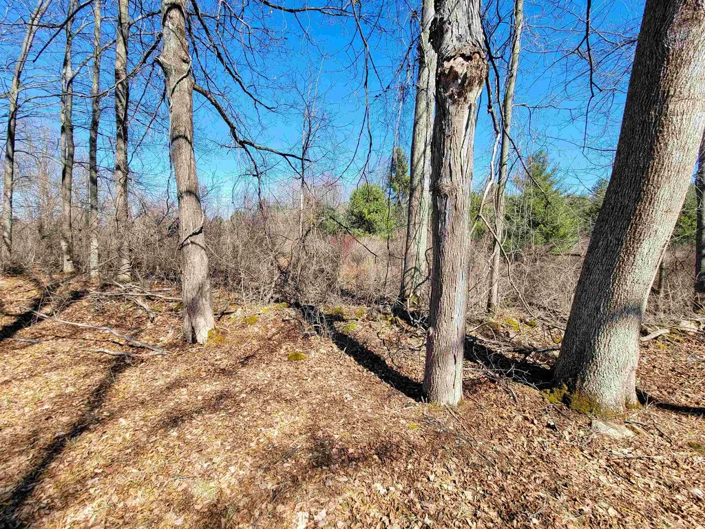 399 Bard Road Bennington VT 05201