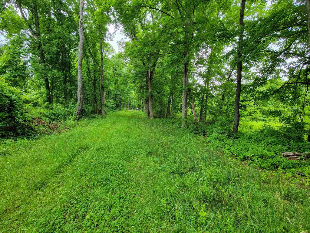 399 Bard Road Bennington VT 05201