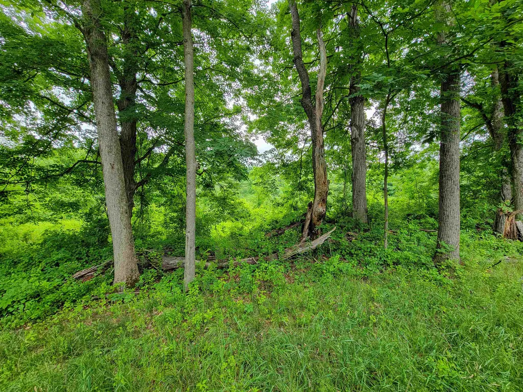 399 Bard Road Bennington VT 05201