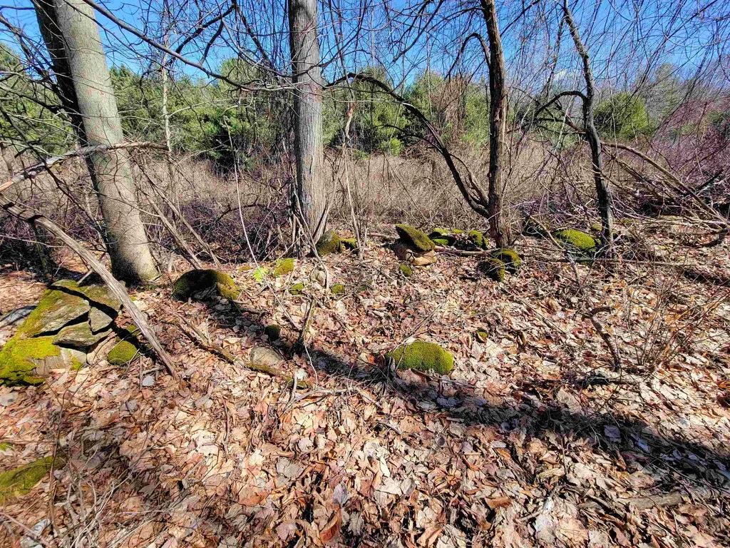 399 Bard Road Bennington VT 05201