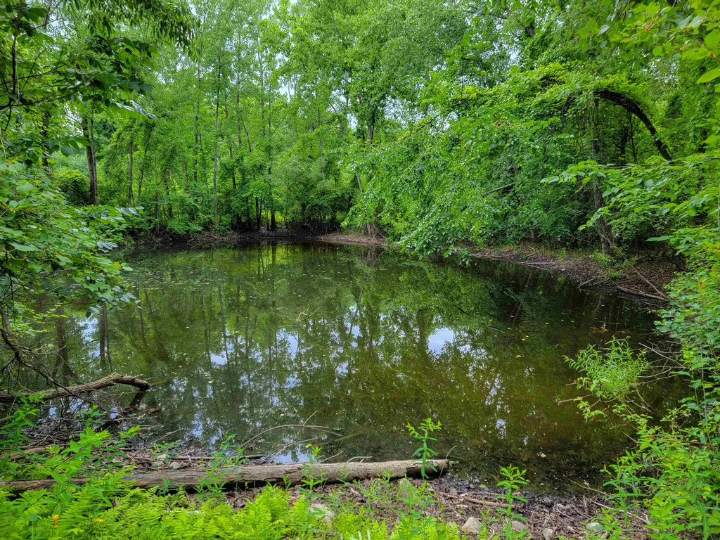 399 Bard Road Bennington VT 05201