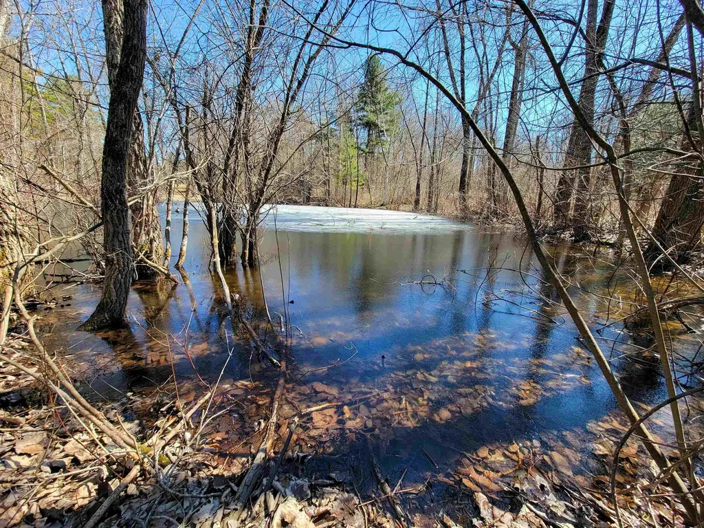 399 Bard Road Bennington VT 05201