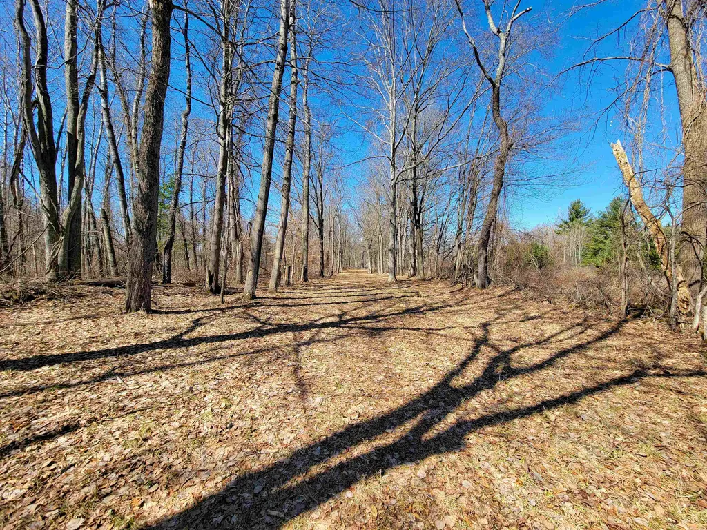 399 Bard Road Bennington VT 05201