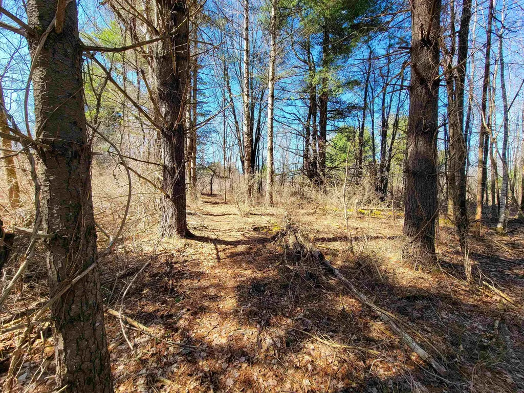 399 Bard Road Bennington VT 05201