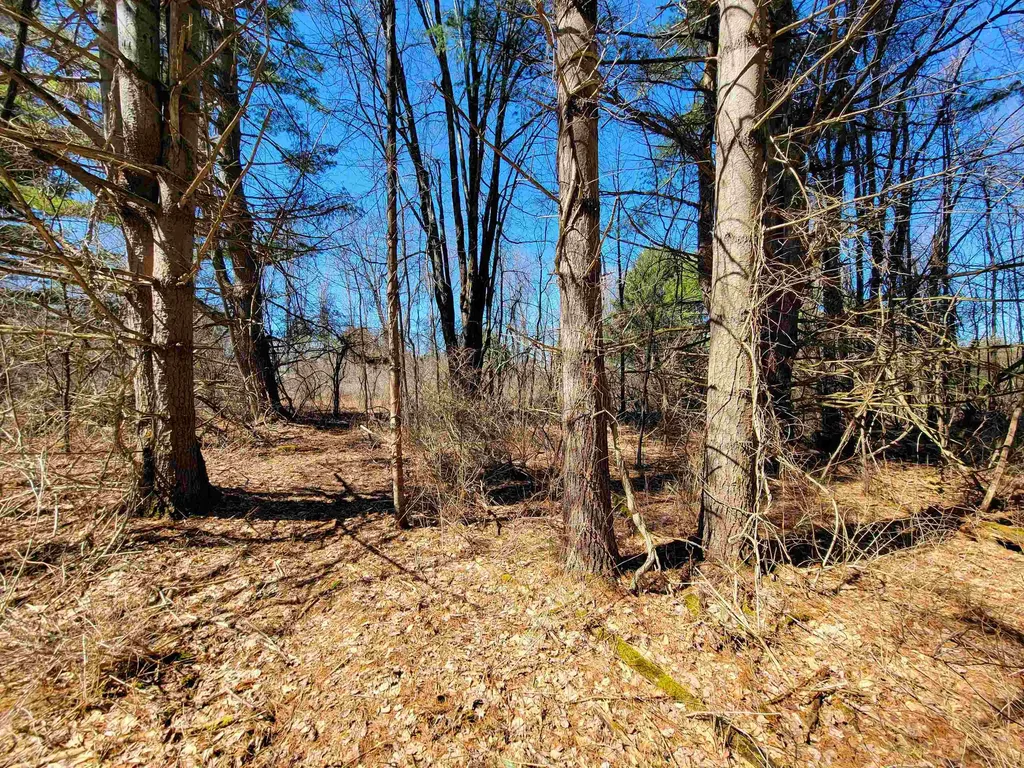 399 Bard Road Bennington VT 05201