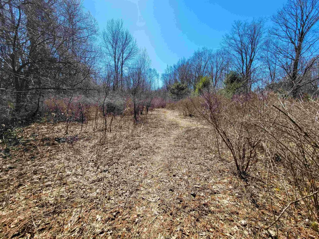 399 Bard Road Bennington VT 05201