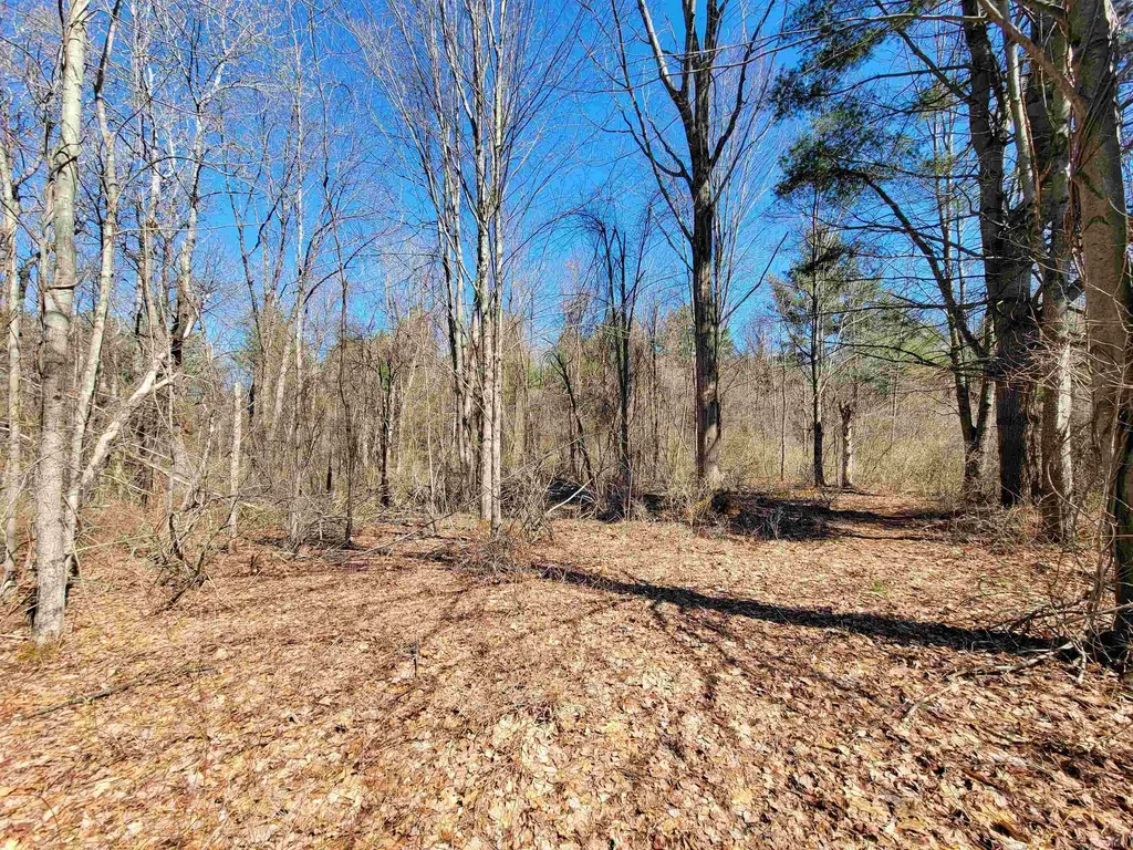 399 Bard Road Bennington VT 05201