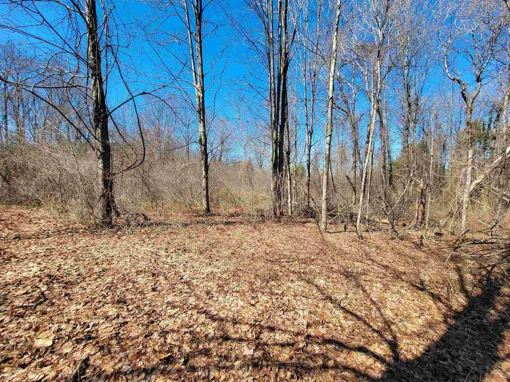 399 Bard Road Bennington VT 05201