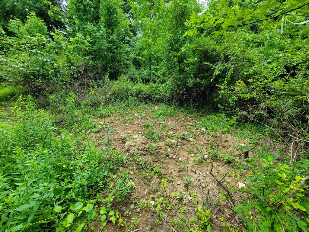 399 Bard Road Bennington VT 05201