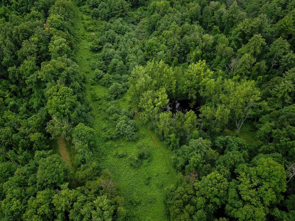 399 Bard Road Bennington VT 05201