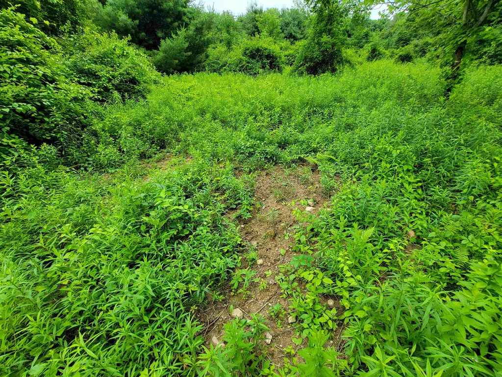 399 Bard Road Bennington VT 05201