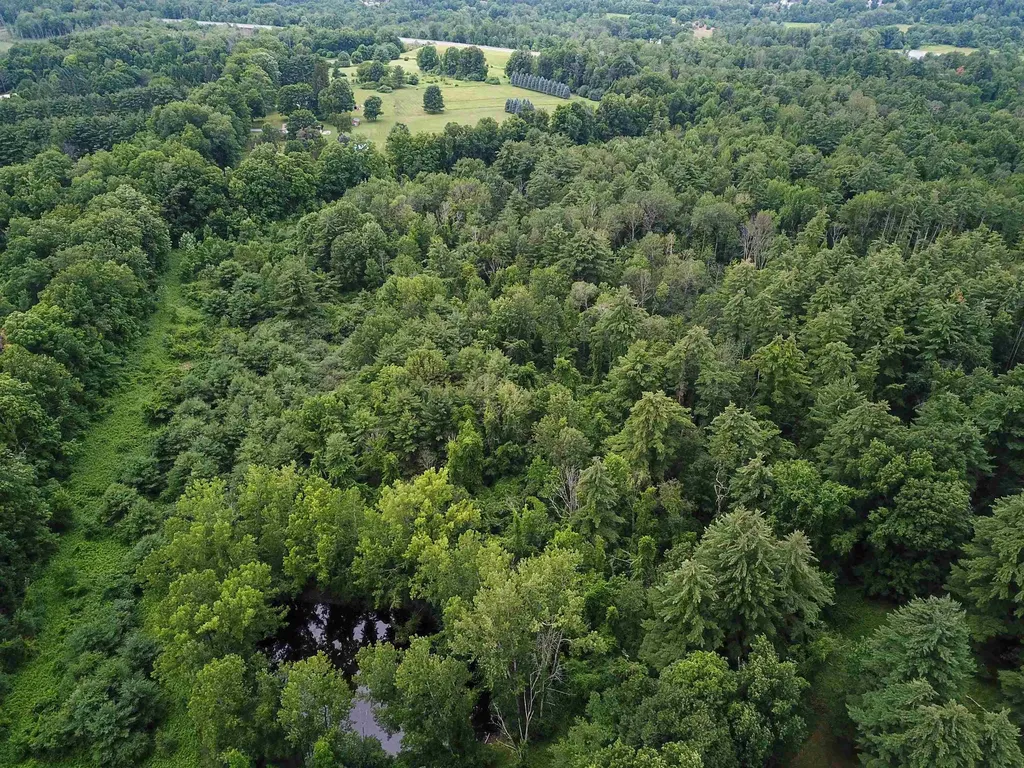 399 Bard Road Bennington VT 05201