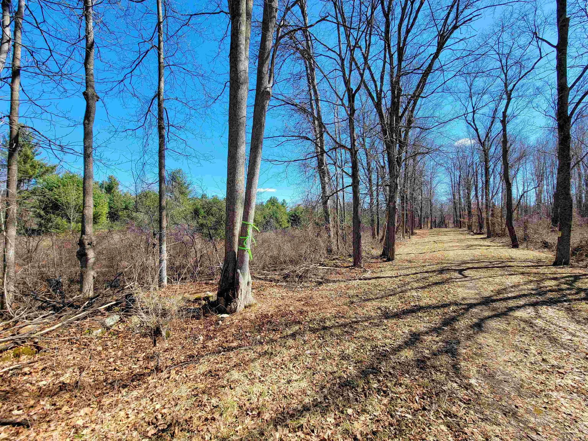 399 Bard Road Bennington VT 05201