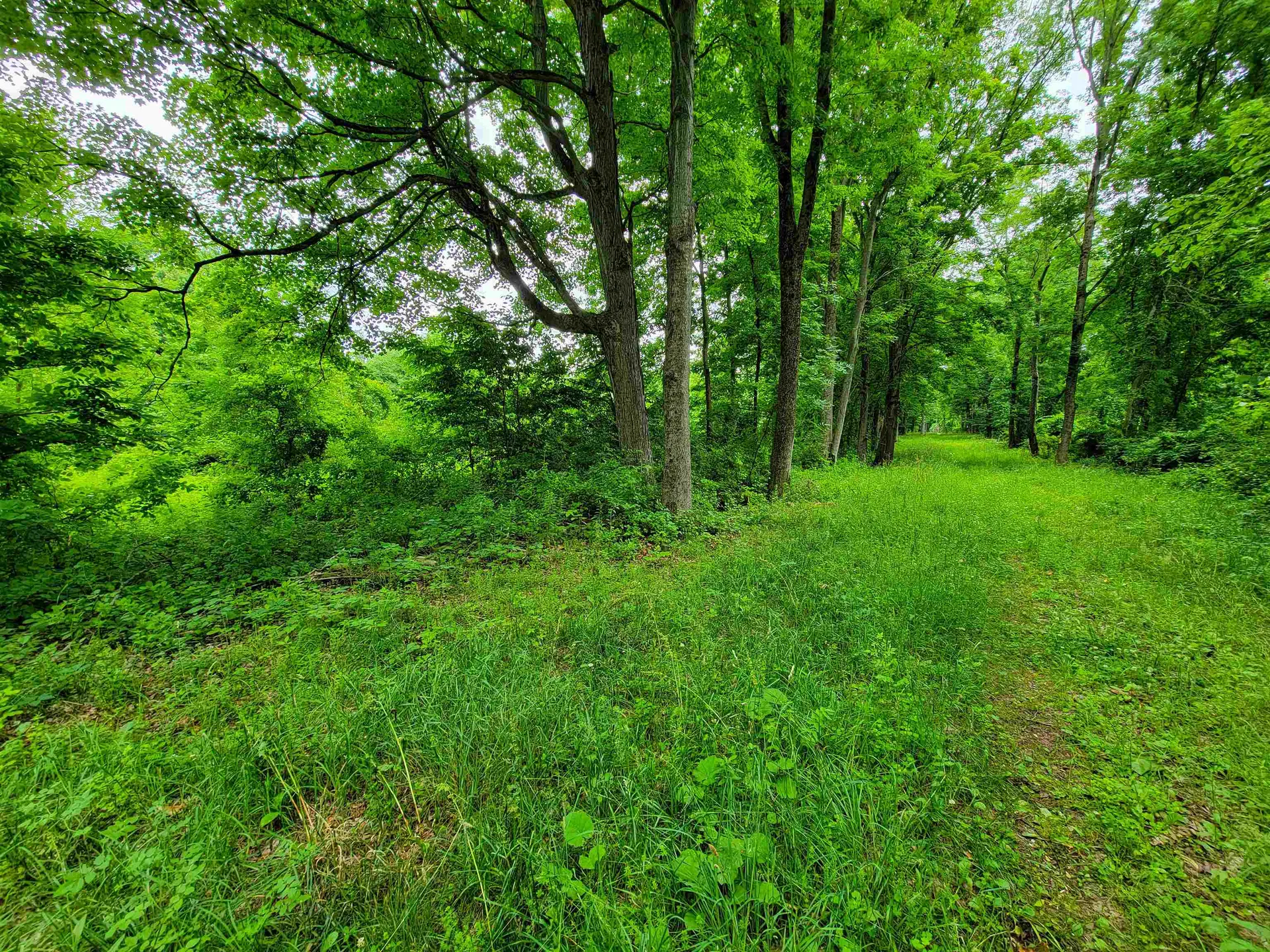 399 Bard Road Bennington VT 05201