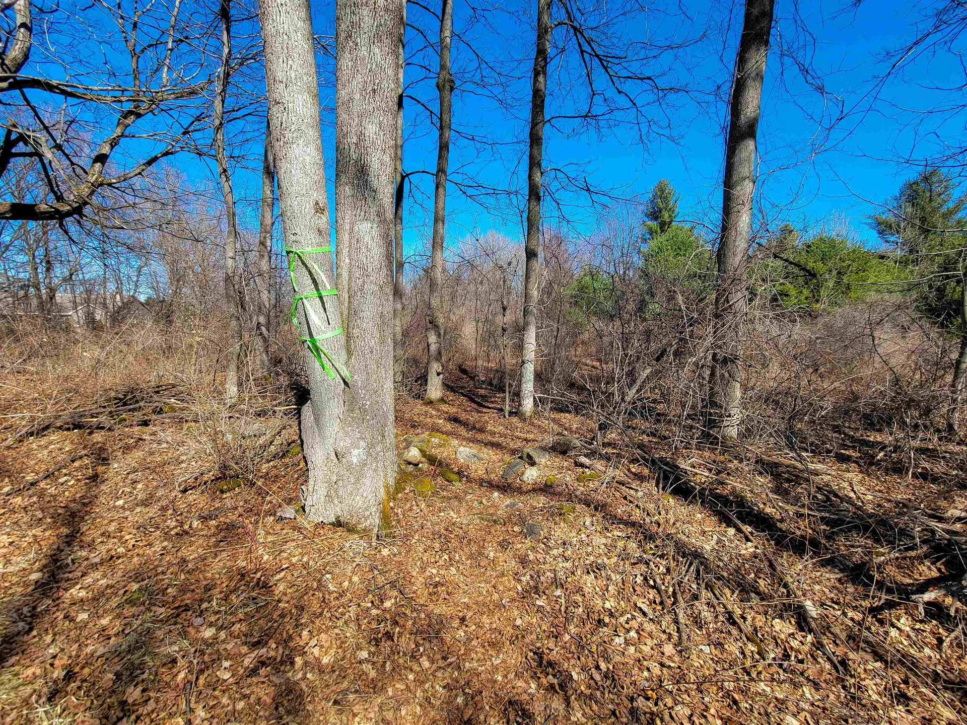 399 Bard Road Bennington VT 05201