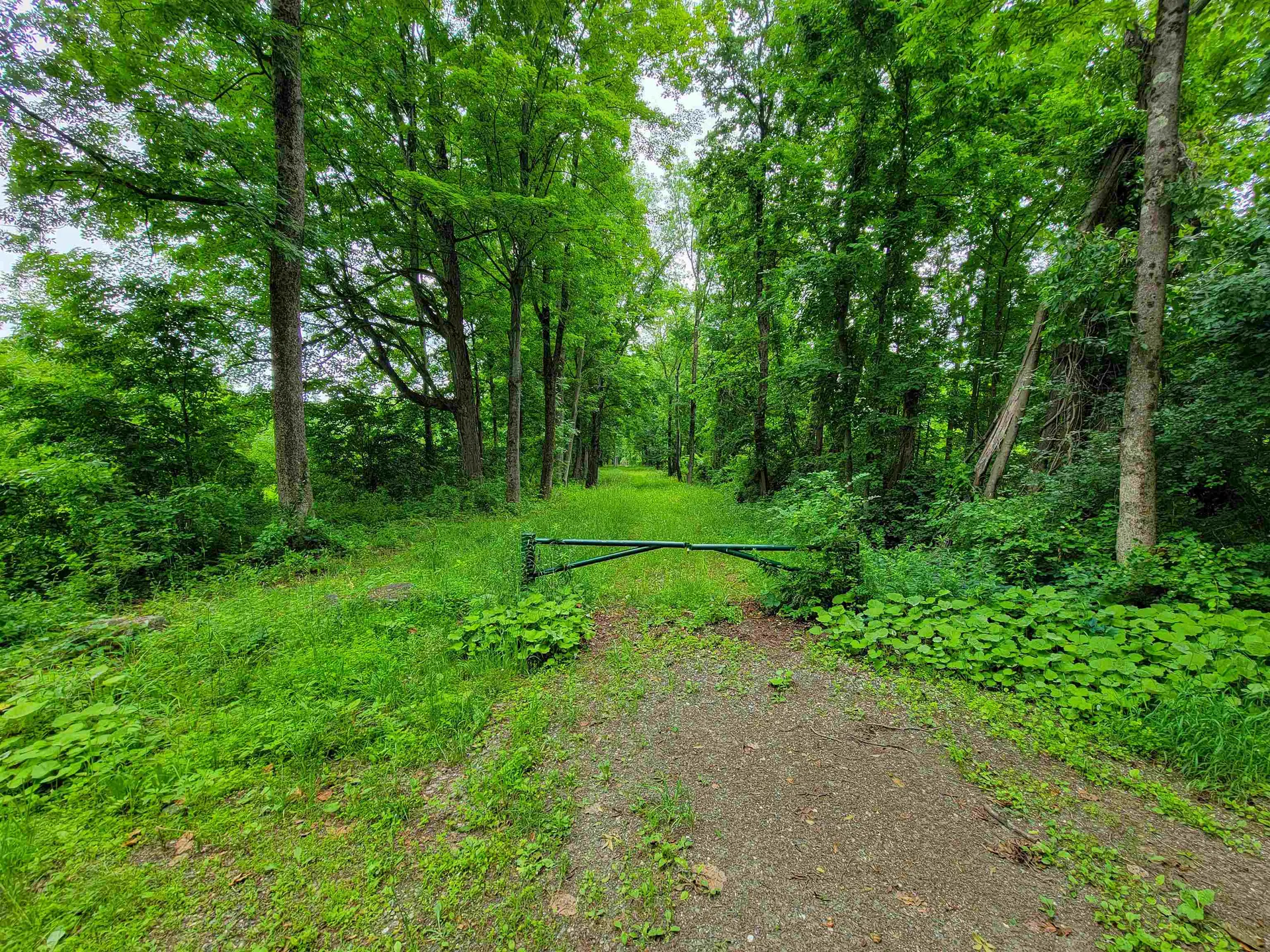 399 Bard Road Bennington VT 05201