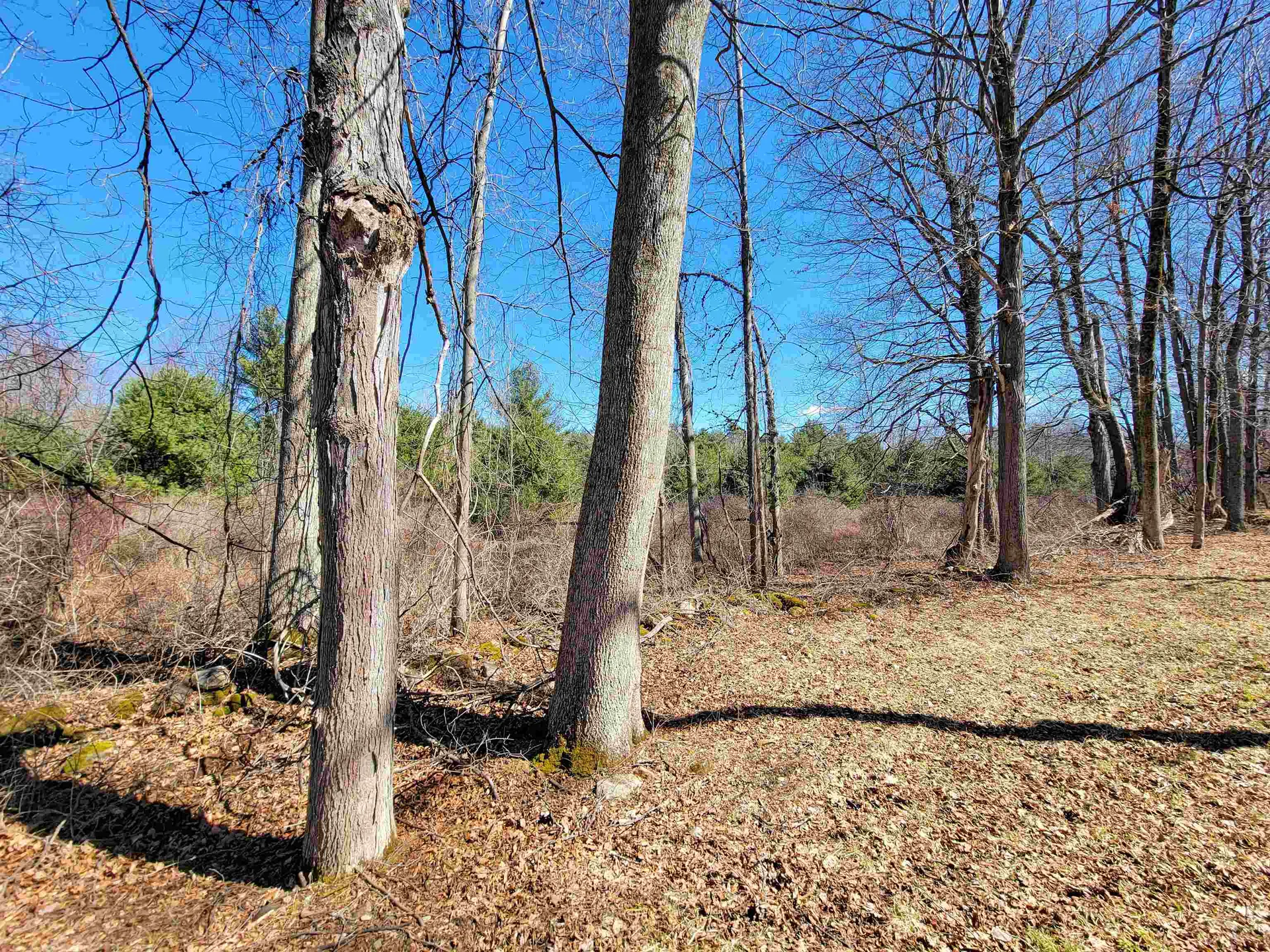 399 Bard Road Bennington VT 05201