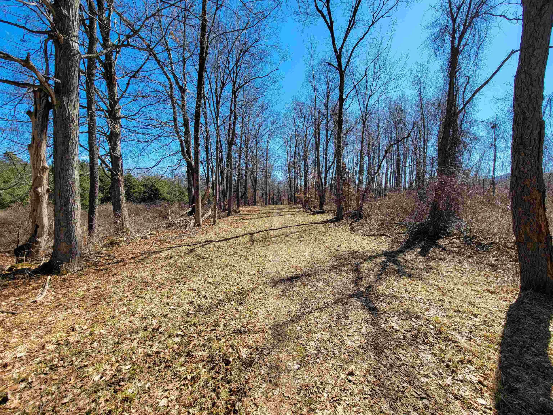 399 Bard Road Bennington VT 05201