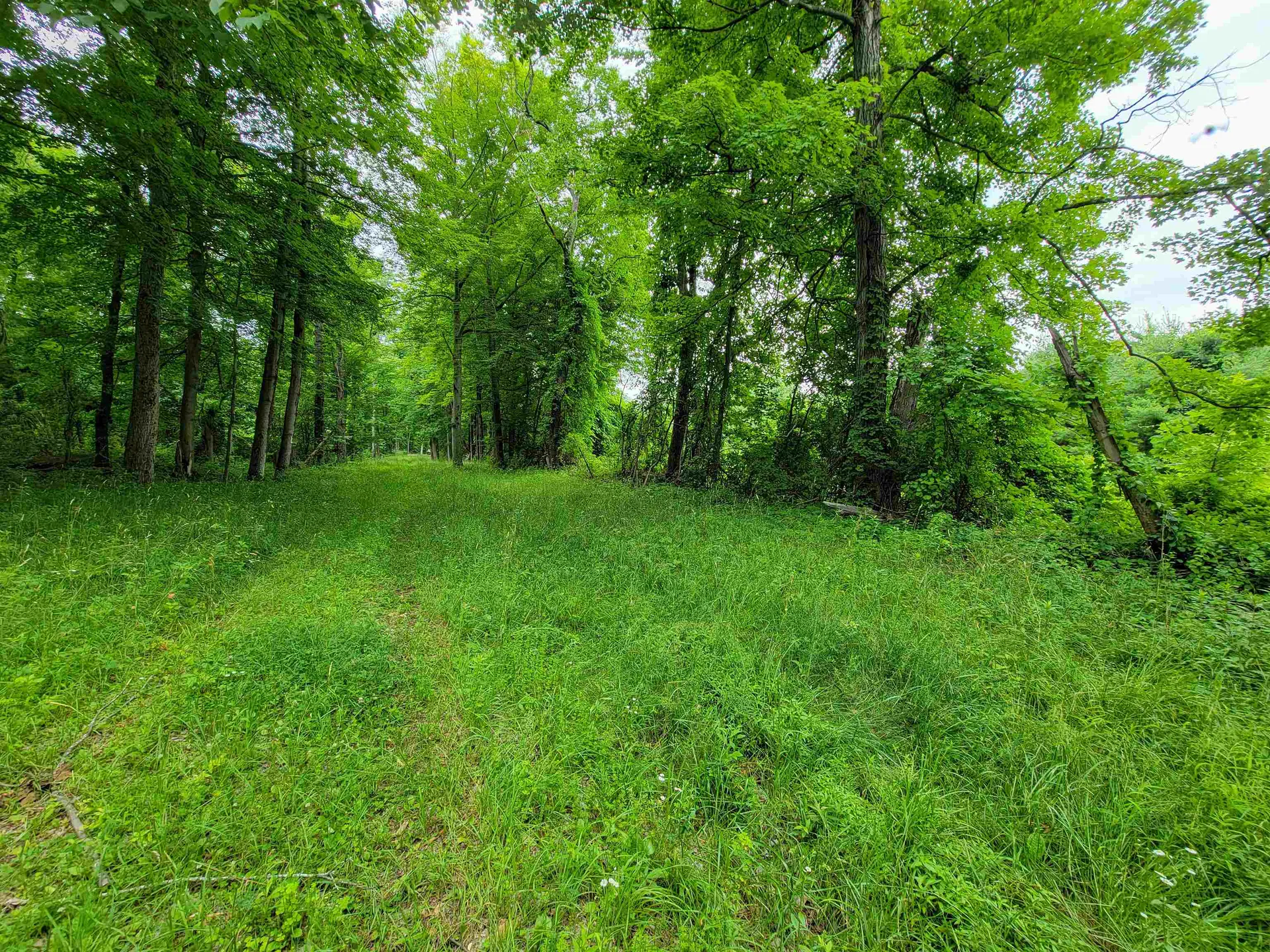 399 Bard Road Bennington VT 05201