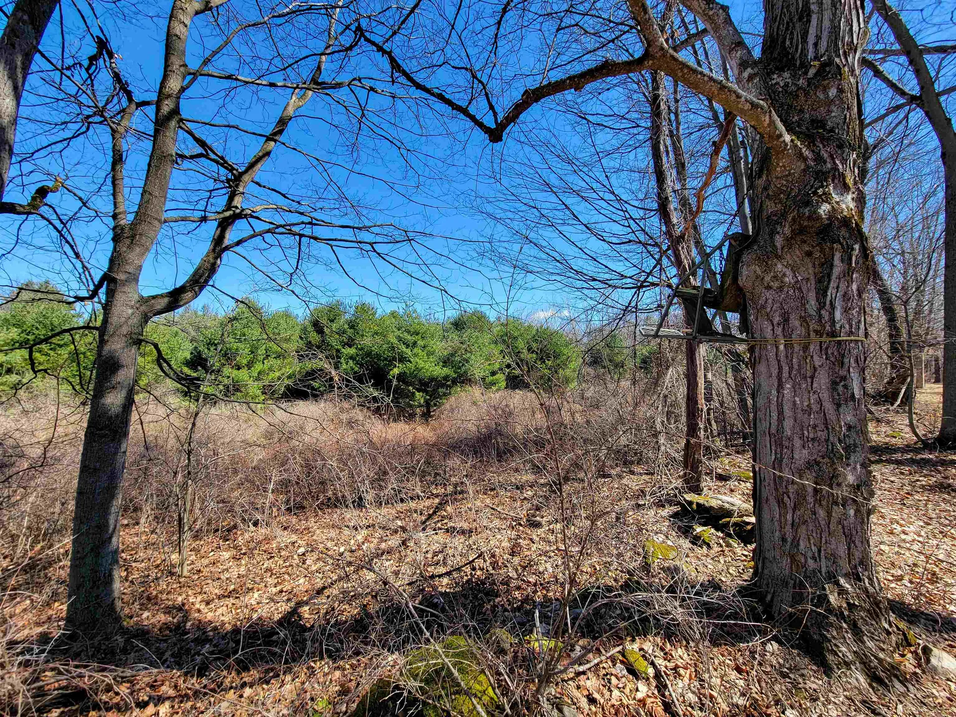 399 Bard Road Bennington VT 05201