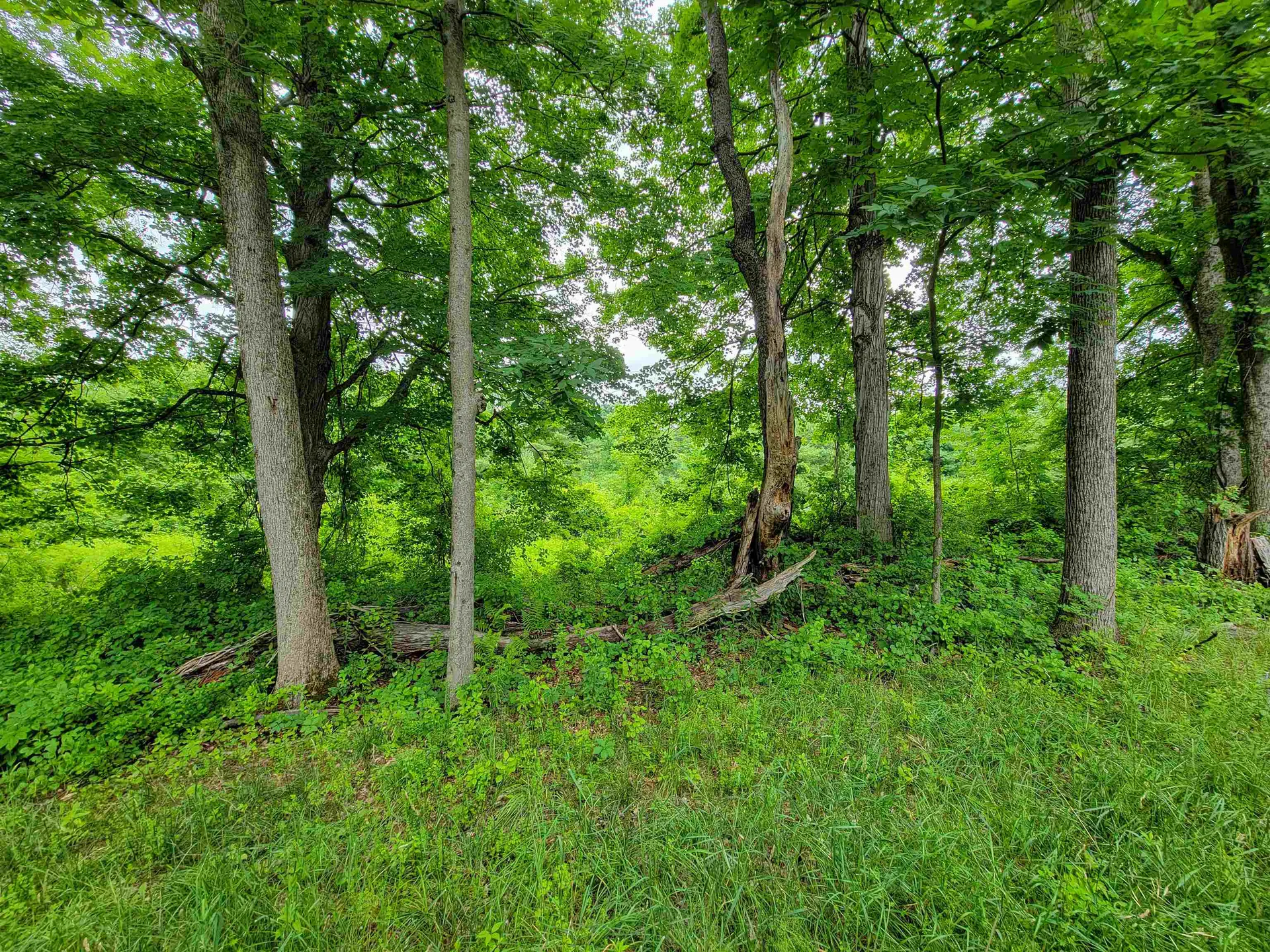 399 Bard Road Bennington VT 05201