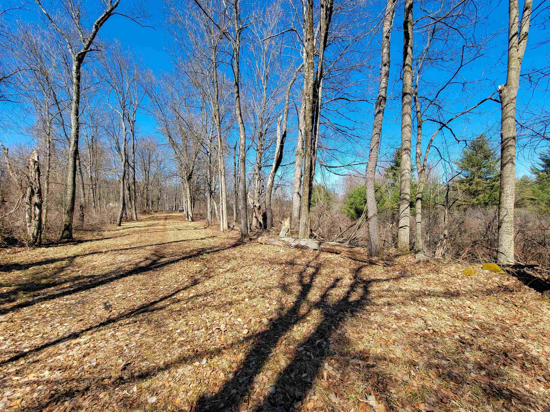 399 Bard Road Bennington VT 05201