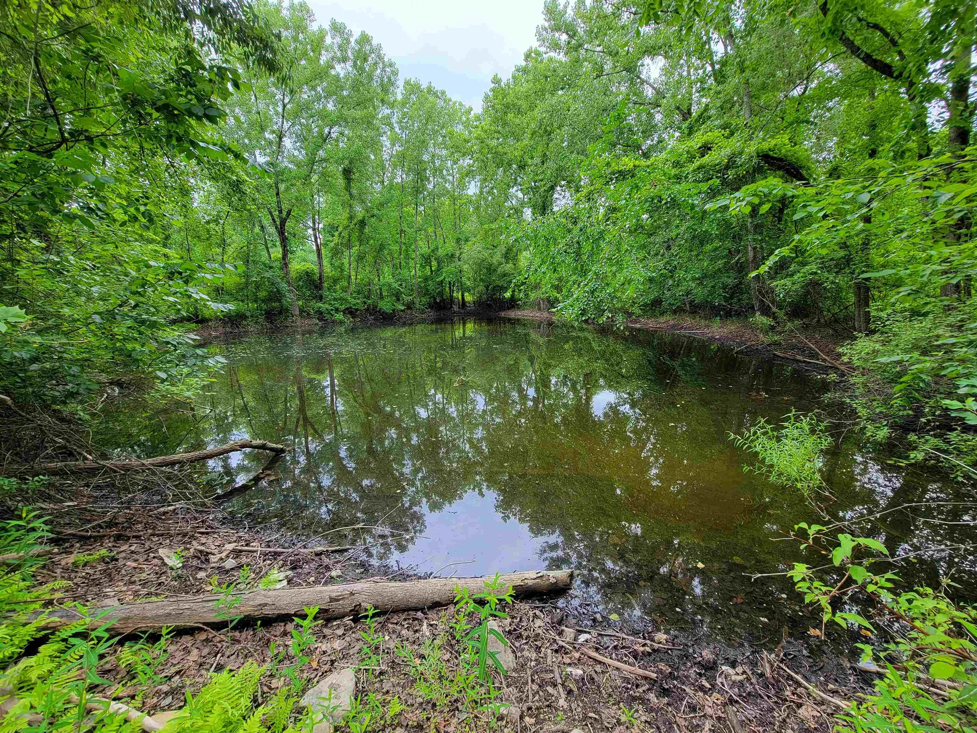 399 Bard Road Bennington VT 05201