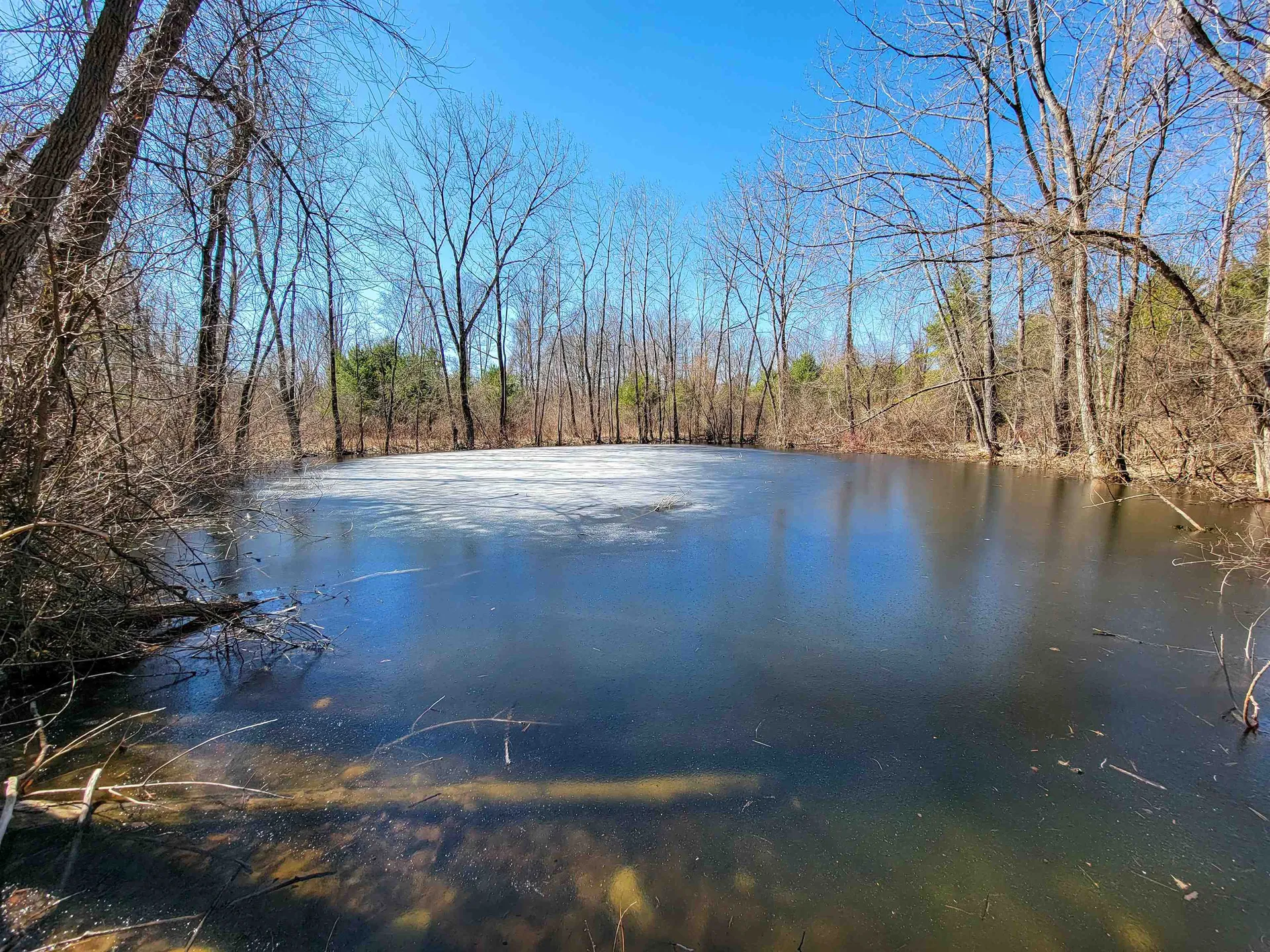 399 Bard Road Bennington VT 05201