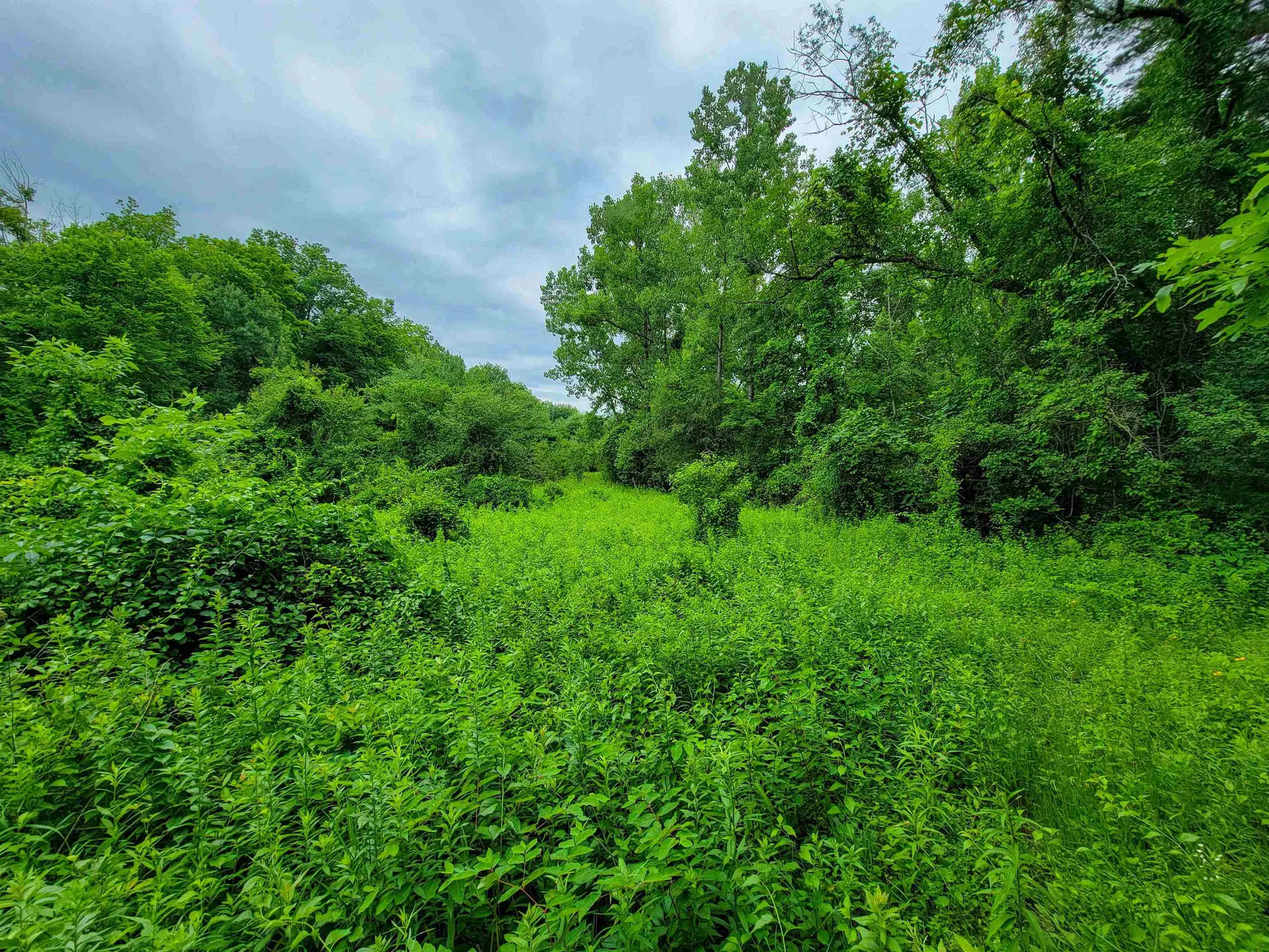 399 Bard Road Bennington VT 05201