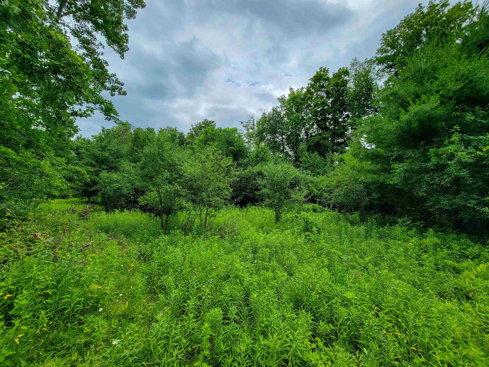 399 Bard Road Bennington VT 05201