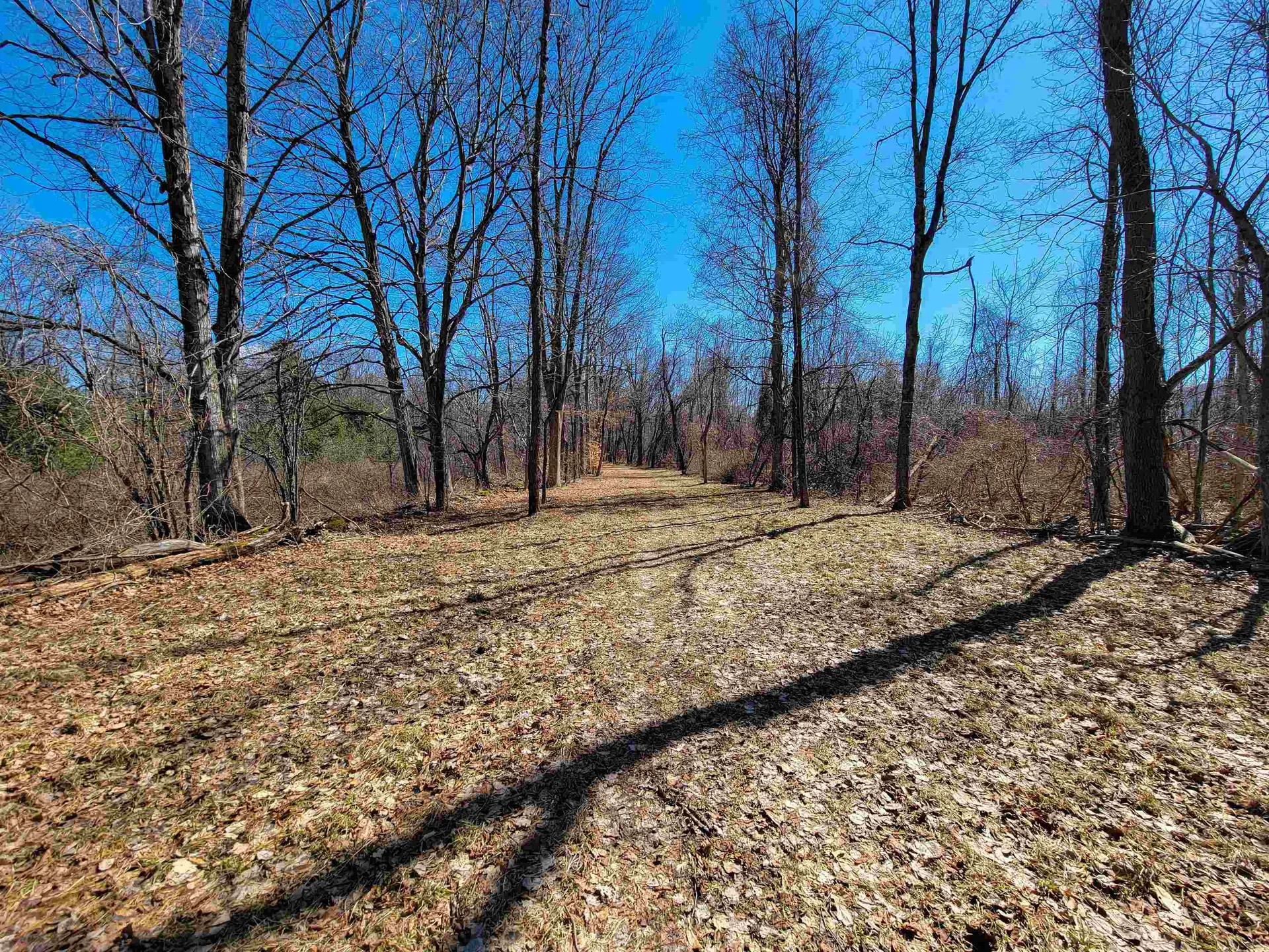 399 Bard Road Bennington VT 05201