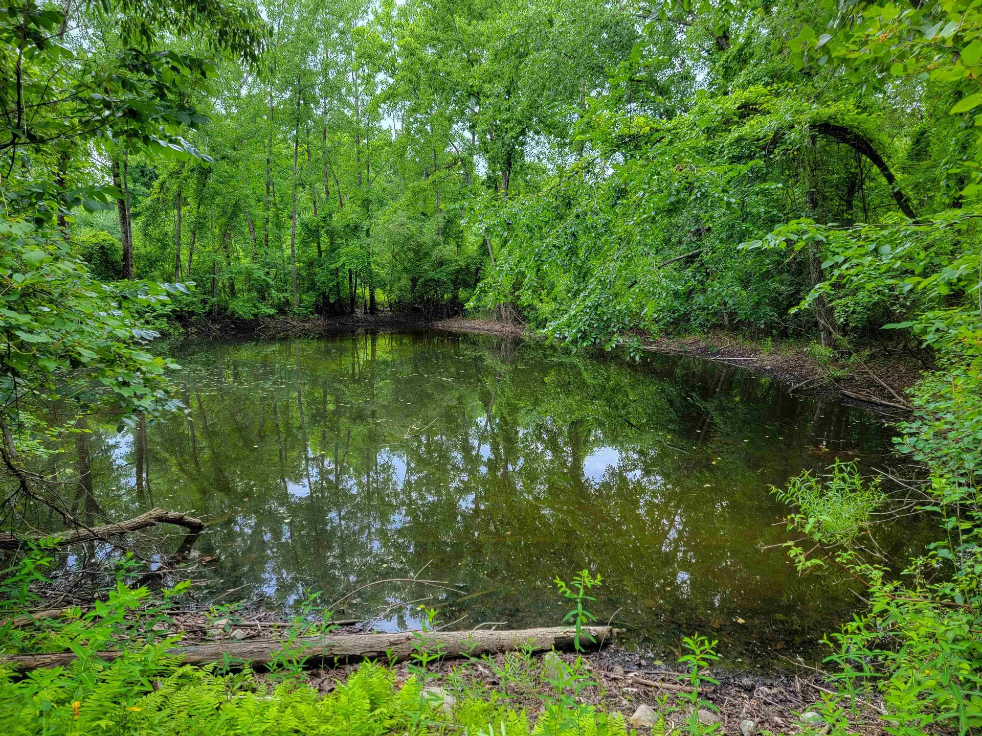 399 Bard Road Bennington VT 05201