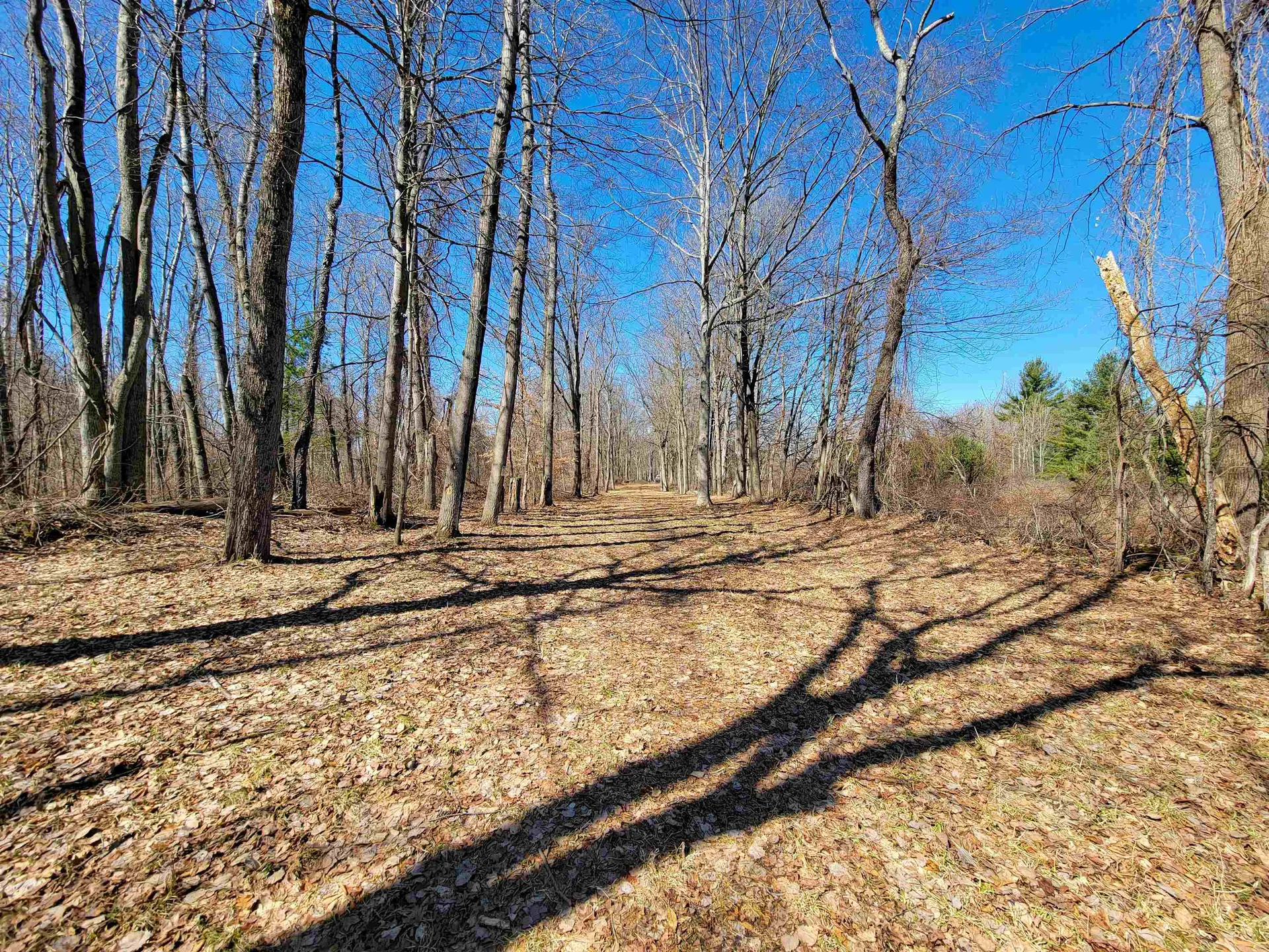 399 Bard Road Bennington VT 05201