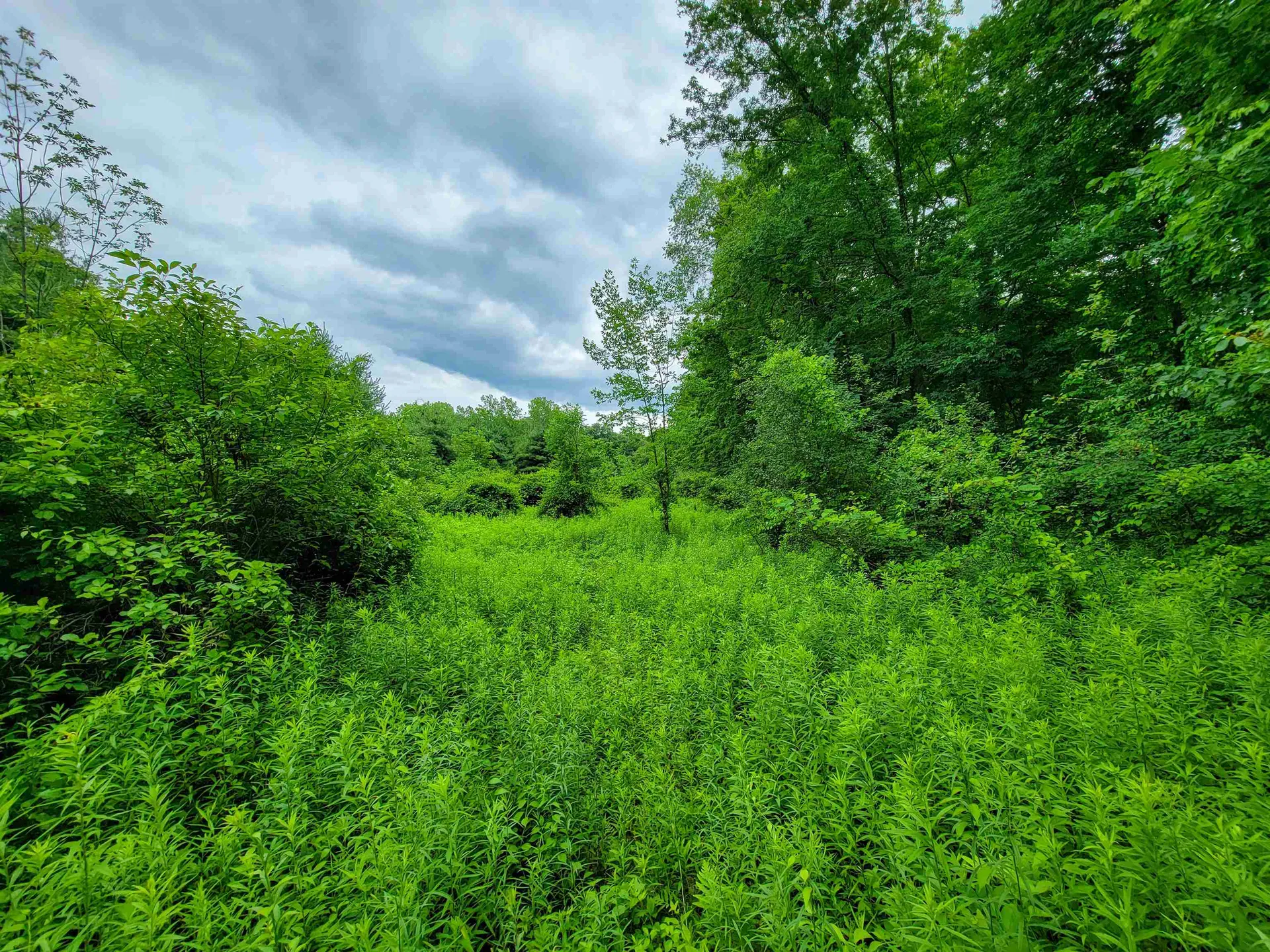 399 Bard Road Bennington VT 05201