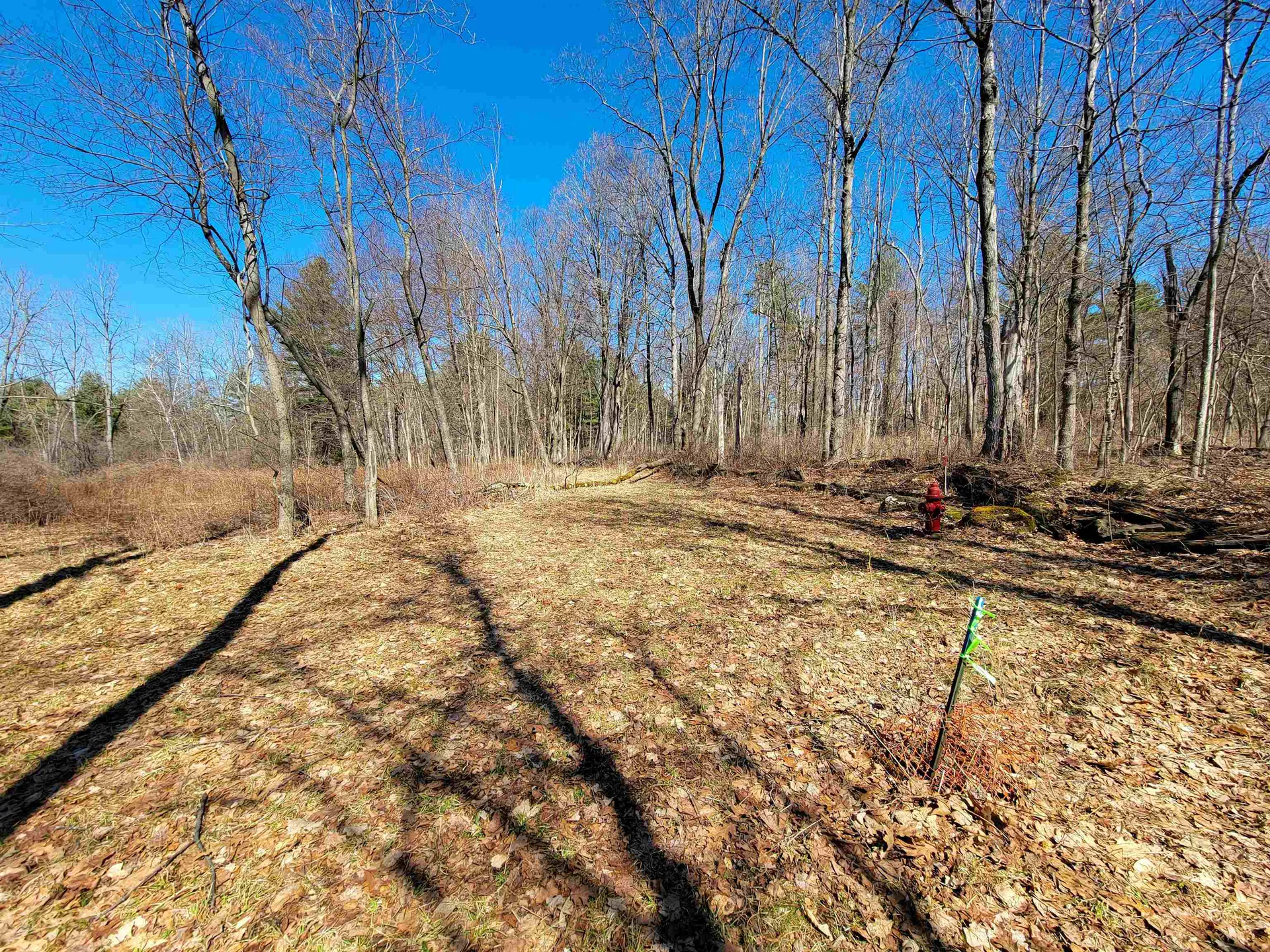 399 Bard Road Bennington VT 05201