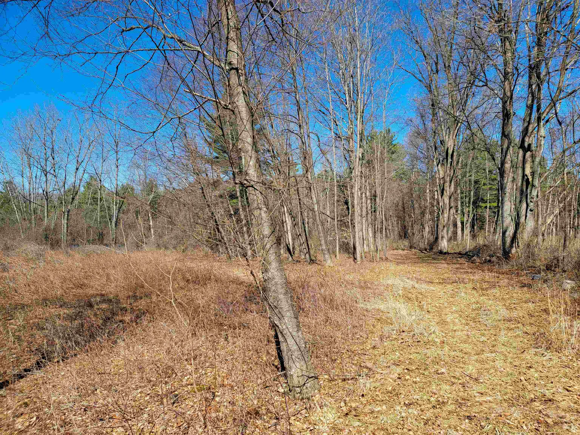 399 Bard Road Bennington VT 05201