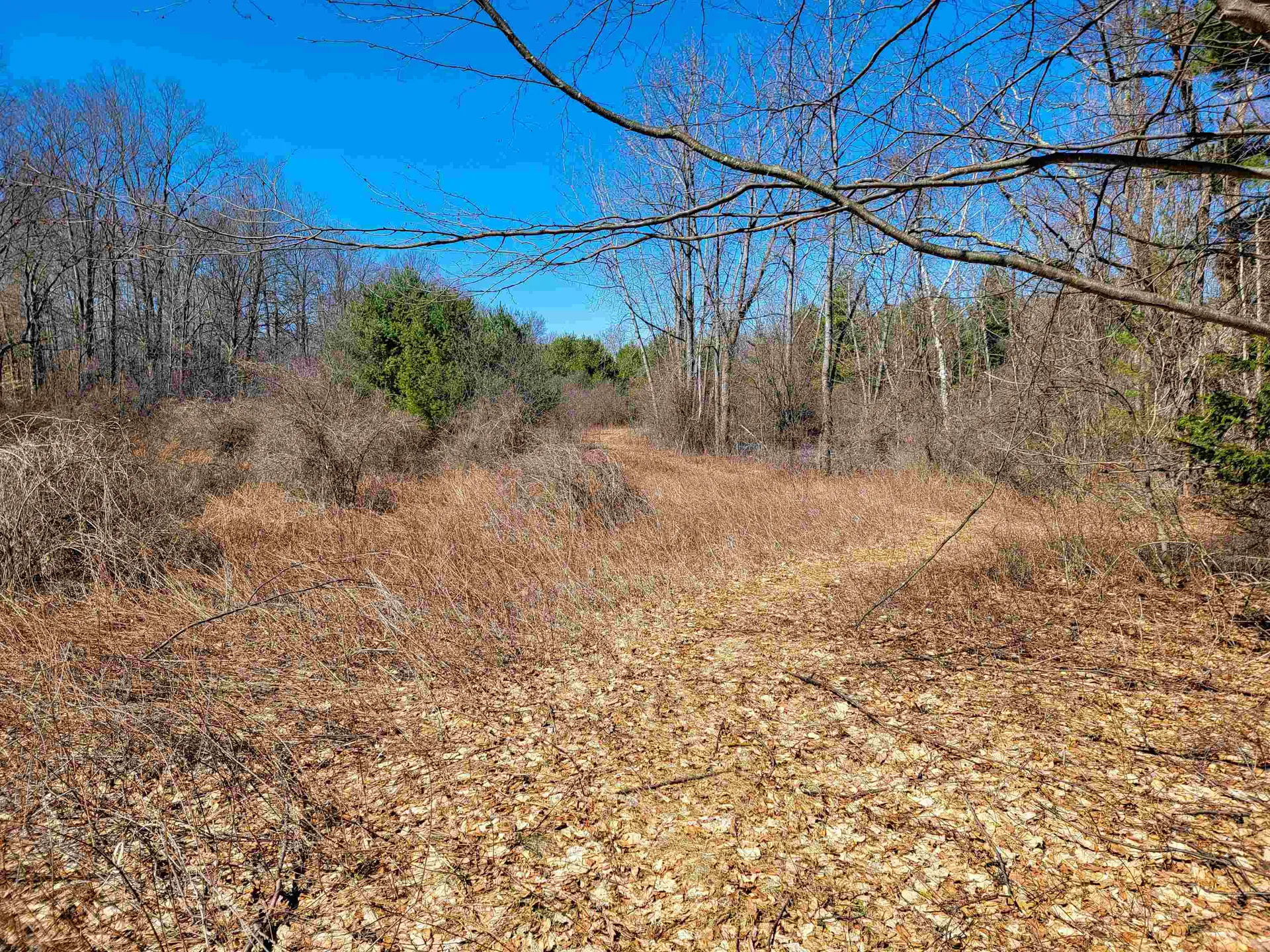 399 Bard Road Bennington VT 05201