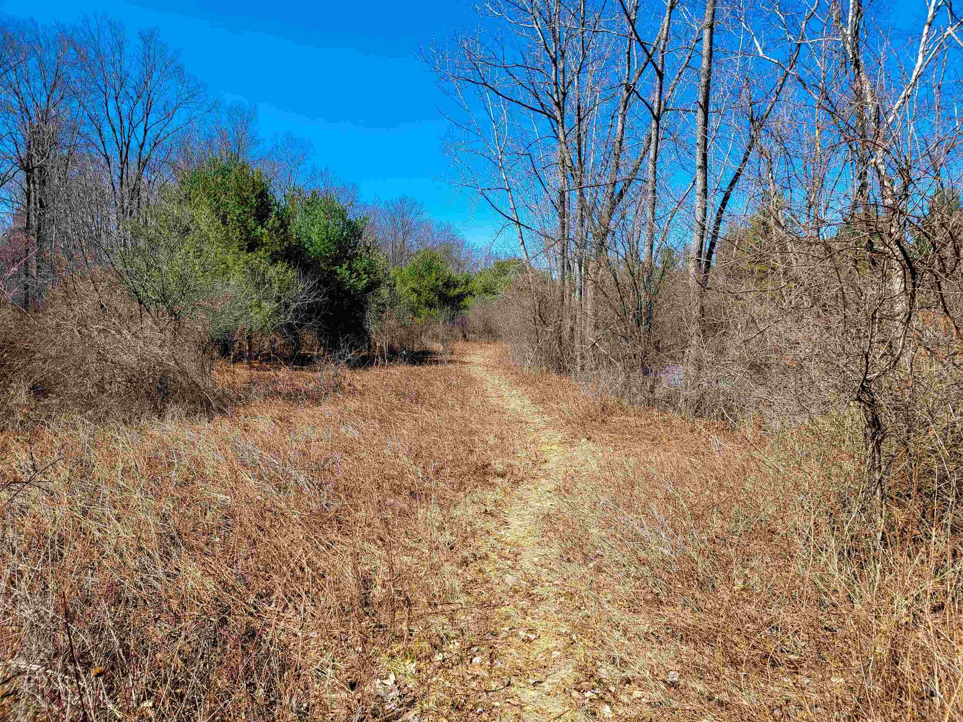 399 Bard Road Bennington VT 05201